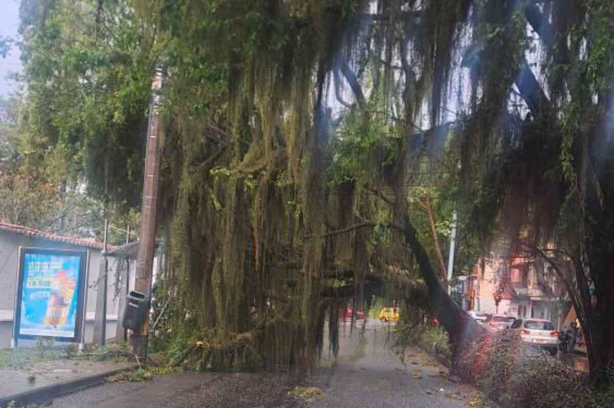 Fuerte aguacero causa caos en Medellín y Envigado: árboles caídos, inundaciones y Metro suspendido
