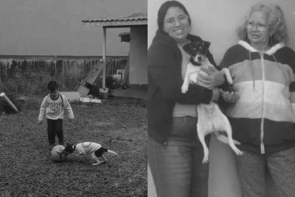 Familia venezolana muere en accidente aéreo mientras buscaba una nueva vida en Colombia