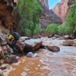 Sigue búsqueda de mujer desaparecida tras devastadora inundación en el Gran Cañón - Chenoa Nickerson