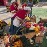 Recomendaciones clave para disfrutar de la Feria de las Flores con tranquilidad
