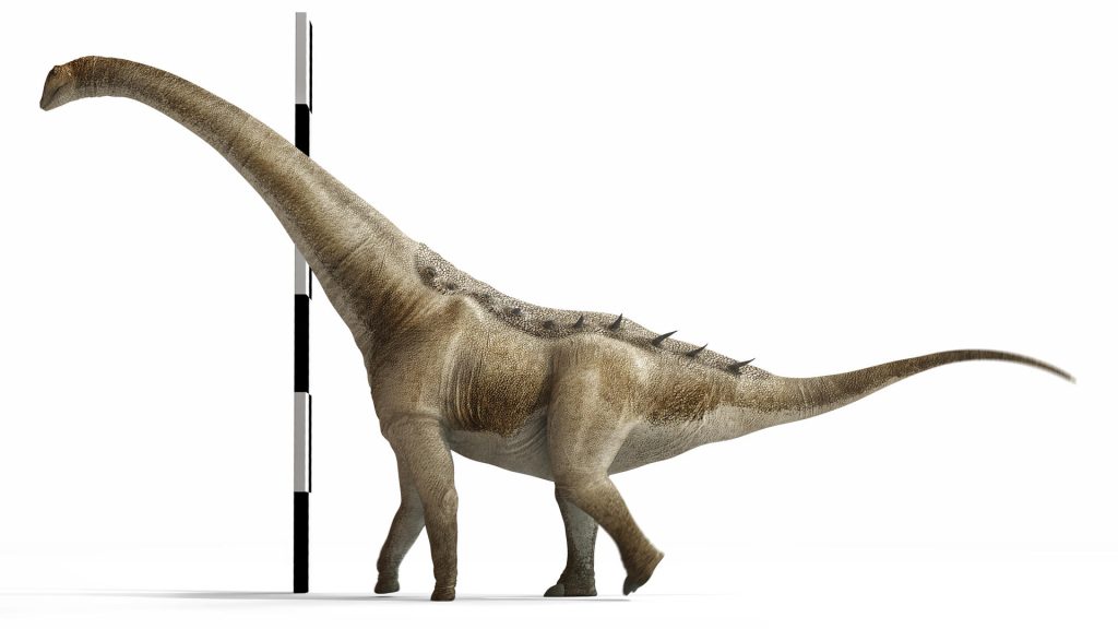 Identifican un nuevo titanosaurio en España
