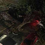Vendaval azota Barranquilla: árboles caídos, cortes de energía y daños en varias zonas