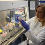 Crean el primer mapa de la máquina molecular que edita más del 90 % de los genes humanos