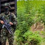 Nueve militares heridos y un perro muerto en ataque con explosivos en Bolívar