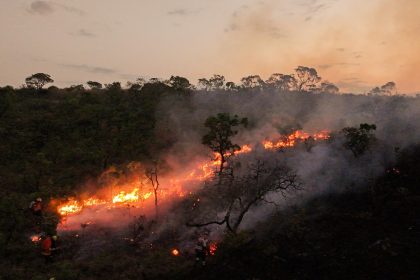 El área devastada por los incendios en Brasil hasta septiembre crece un 150 %