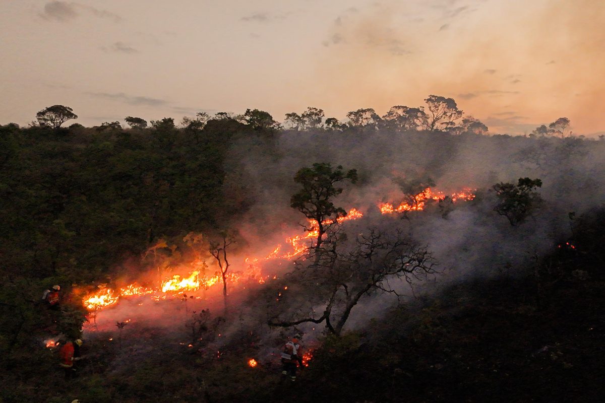 El área devastada por los incendios en Brasil hasta septiembre crece un 150 %
