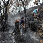 Perú extingue y controla incendios forestales en la Amazonía y otras 5 regiones del país