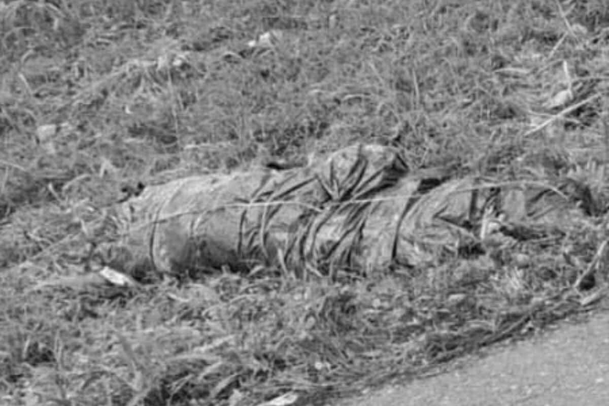 Hallan cuerpo 'embolsado' en Córdoba: investigan si pertenece a Jorge Luis Paternina Hoyos
