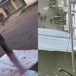 Ejército y Policía entran en El Plateado, Cauca, en una ofensiva contra las disidencias de las FARC