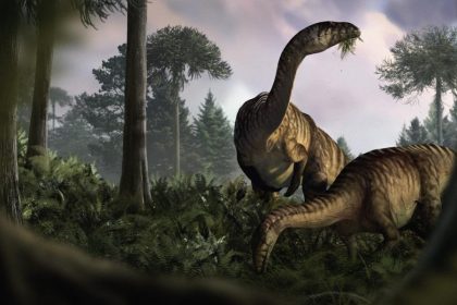 El análisis de heces fosilizadas da pistas sobre el ascenso de los dinosaurios