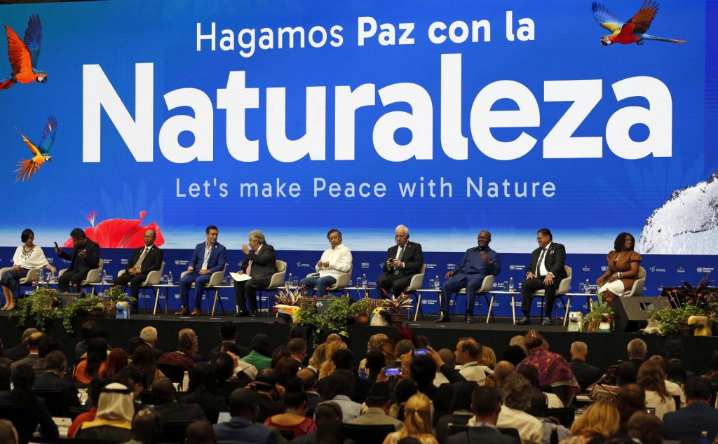 COP16