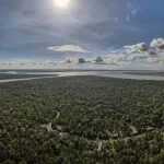 La deforestación en la Amazonía sigue a la baja y cae otro 31 % en el último año
