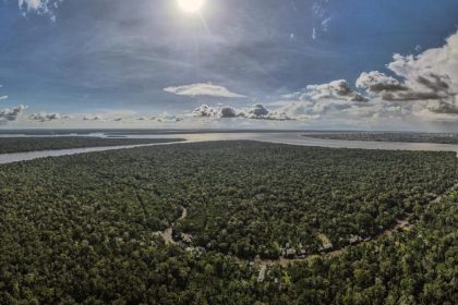 La deforestación en la Amazonía sigue a la baja y cae otro 31 % en el último año