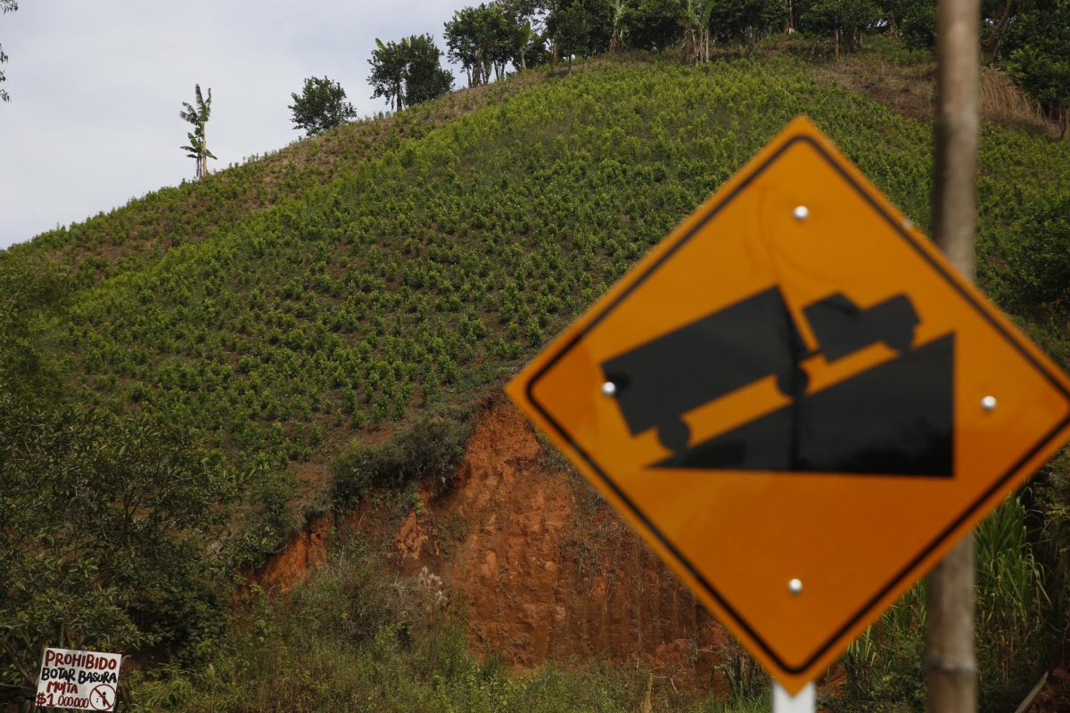 Política de drogas volverá a ser central en relación de Colombia con EEUU en la era Trump