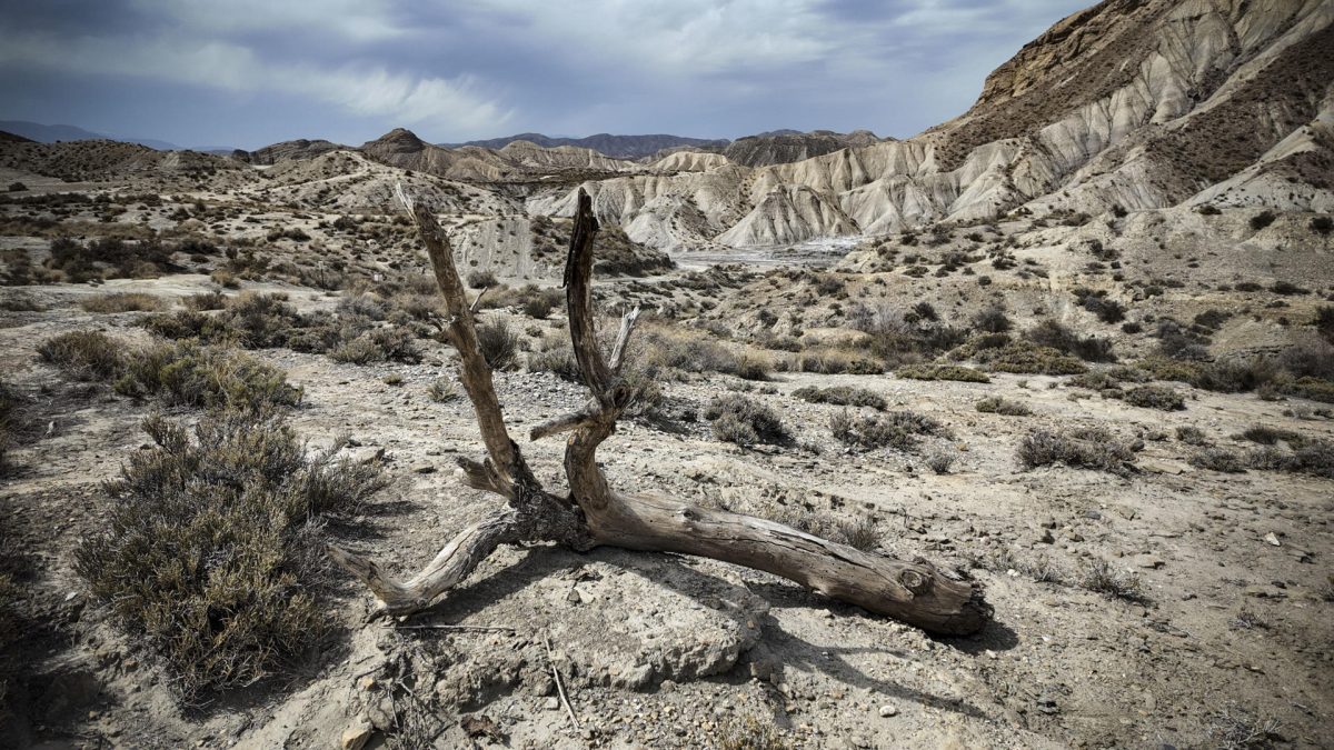 El mundo necesita 1.000 millones diarios para combatir desertificación y sequía hasta 2030