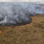 Incendios forestales en América - Un año de devastación ambiental y humanitaria