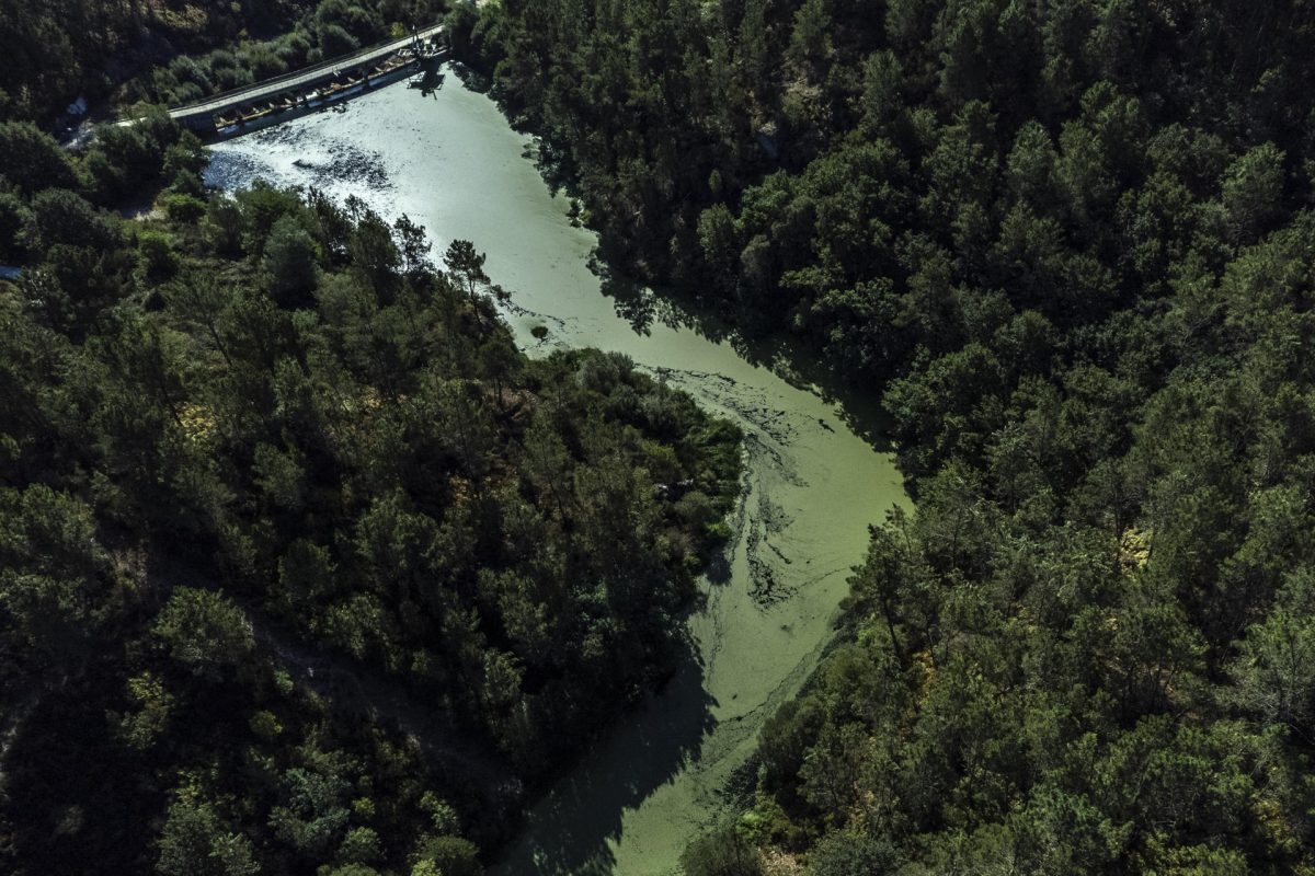 Inundaciones y falta de agua, efectos de los cambiantes caudales fluviales en el mundo
