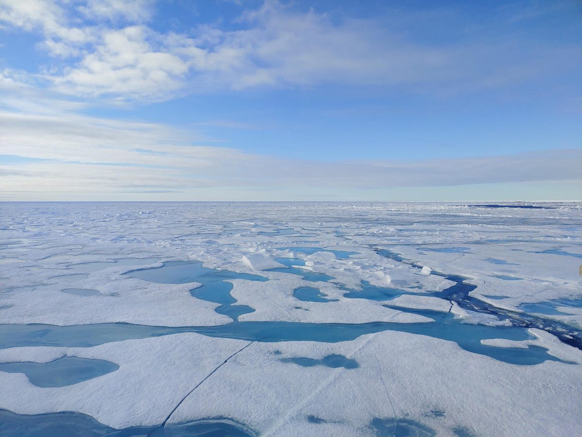 Un nuevo estudio anticipa un Ártico libre de hielo en 2027