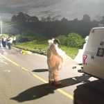 El desgarrador relato de la madre de Daniela, la ciclista que perdió la vida en Sibaté