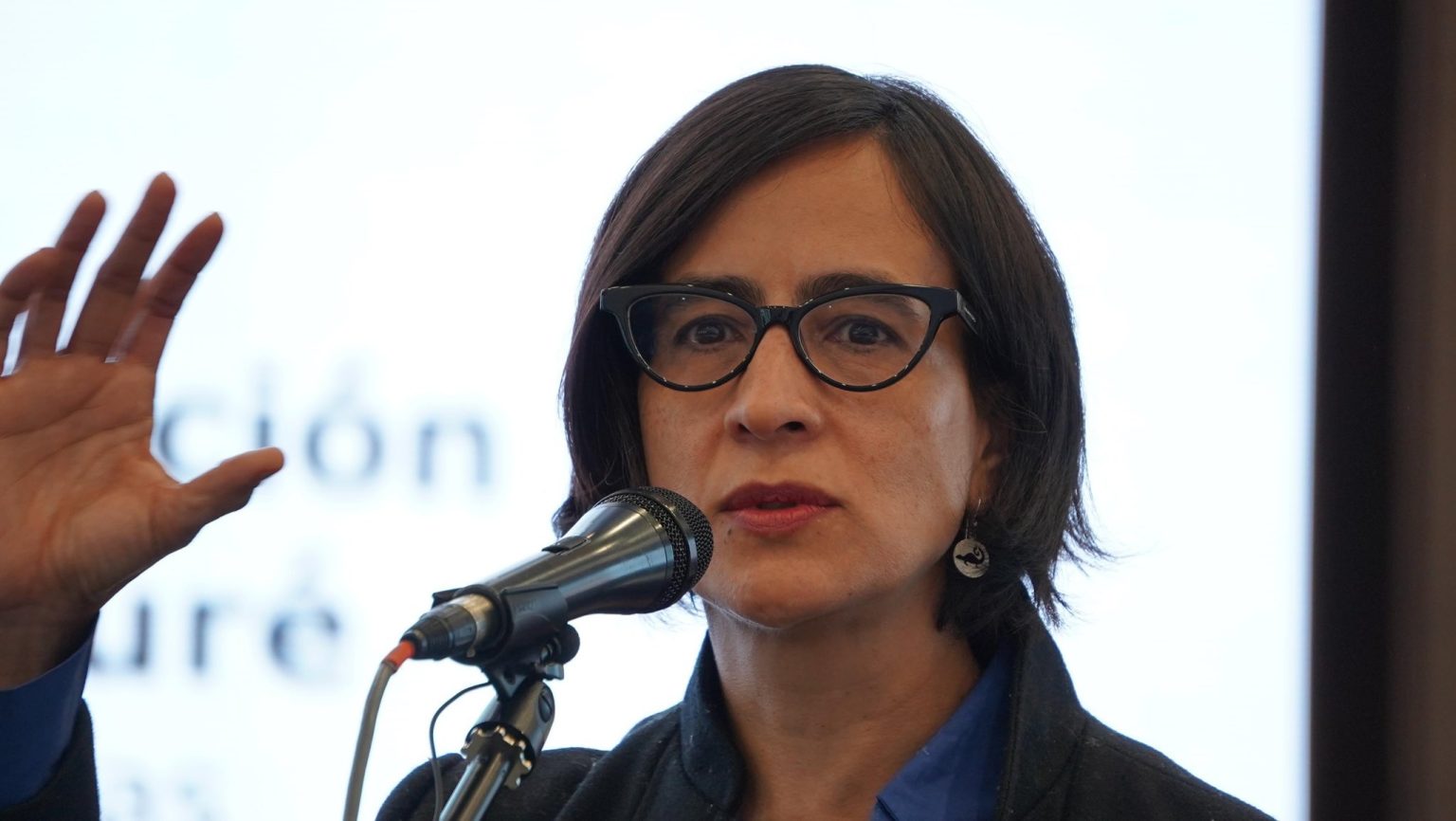 Susana Muhamad renuncia al Ministerio de Ambiente