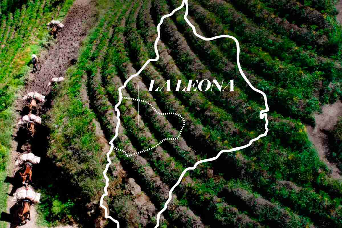 Crepes & Waffles descubre un cementerio prehispánico en Cajamarca y reescribe la historia