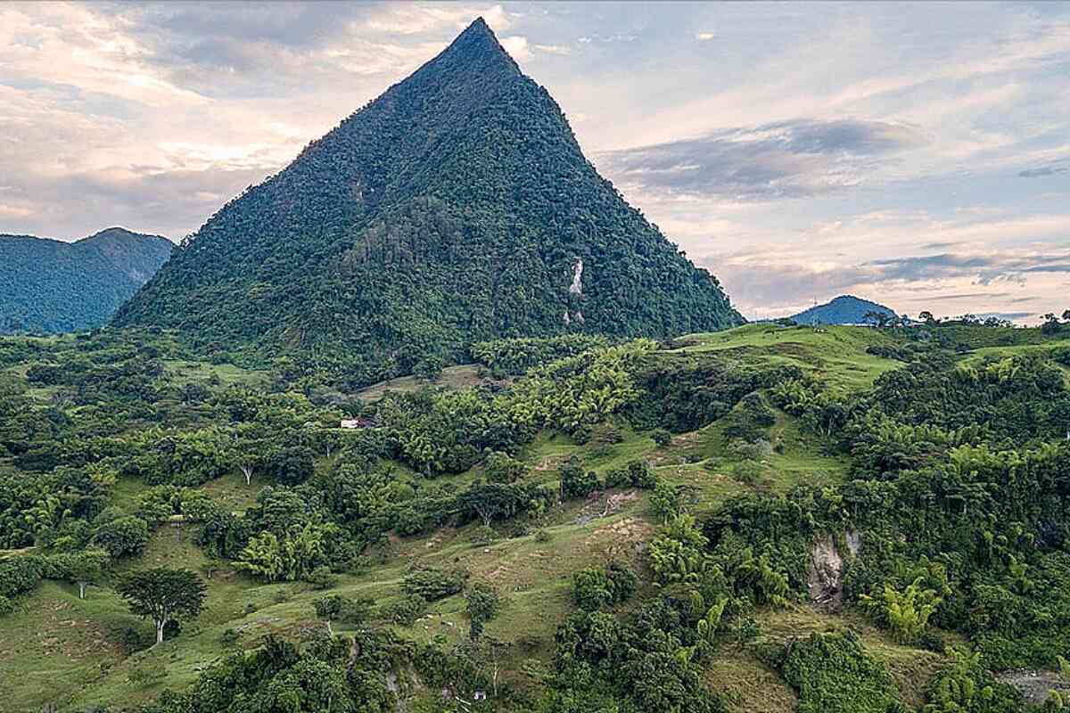 nueva planta descubierta en el cerro tusa en el suroeste antioqueño
