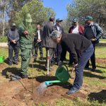 Marruecos intenta restaurar sus bosques urbanos degradados por la sequía