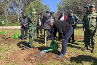 Marruecos intenta restaurar sus bosques urbanos degradados por la sequía