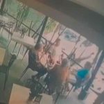 Hermanas Correa Ramírez: la herencia que habría desatado un doble homicidio en Envigado