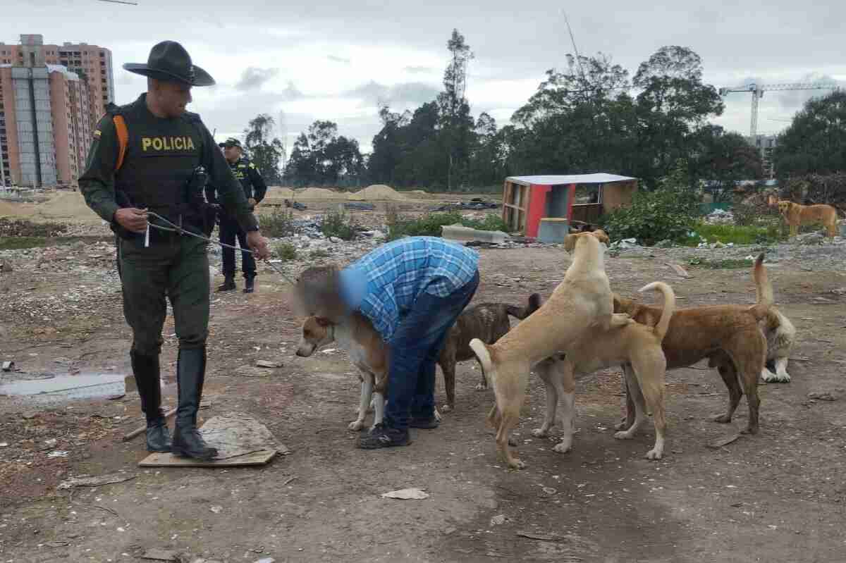 Joven atacado por perros en Bosa: sufrió 150 mordeduras y perdió los brazos